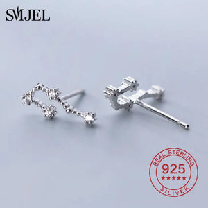 925 Silver Zodiac Earrings CZ Studs 12 Constellation Jewelry Gift