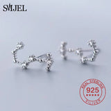 925 Silver Zodiac Earrings CZ Studs 12 Constellation Jewelry Gift