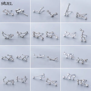 925 Silver Zodiac Earrings CZ Studs 12 Constellation Jewelry Gift