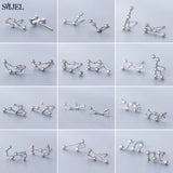 925 Silver Zodiac Earrings CZ Studs 12 Constellation Jewelry Gift