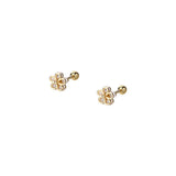 925 Silver Zircon Flower Earrings for Women
