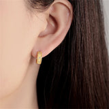 925 Silver Star Zircon Spiral Stud Earrings for Women