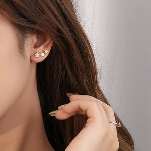925 Silver Zircon Star/Circle Stud Earrings for Women
