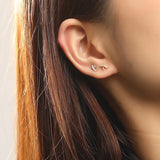 925 Silver Zircon Star/Circle Stud Earrings for Women
