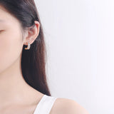 925 Sterling Silver Minority Earrings Cubic Zircon Ring Silver Earrings