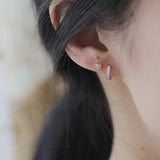 925 Silver Crystal Round Earrings Palace Style Noble Banquet Jewelry