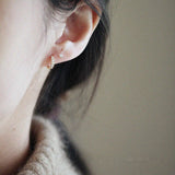 925 Silver Crystal Round Earrings Palace Style Noble Banquet Jewelry