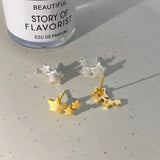 925 Silver Star Stud Earrings for Women