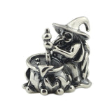 925 Silver Medicine Wizard Charm Bead European Jewelry