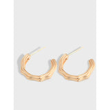 925 Silver Twisted Wave Earrings - Female Earrings
