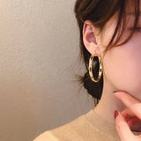 Sterling Silver Needle Earrings with Zircon Inlay