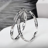 Sterling Silver Needle Earrings with Zircon Inlay