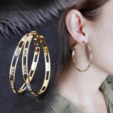 Sterling Silver Needle Earrings with Zircon Inlay
