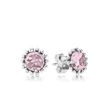 925 Silver Pan Crown Stud Earrings Crystal