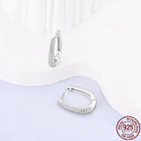 925 Silver Zircon Magic Eye Snake Earrings Women Birthday Gift