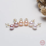 925 Silver Freshwater Pearl Stud Earrings Light Temperament Jewelry Gift