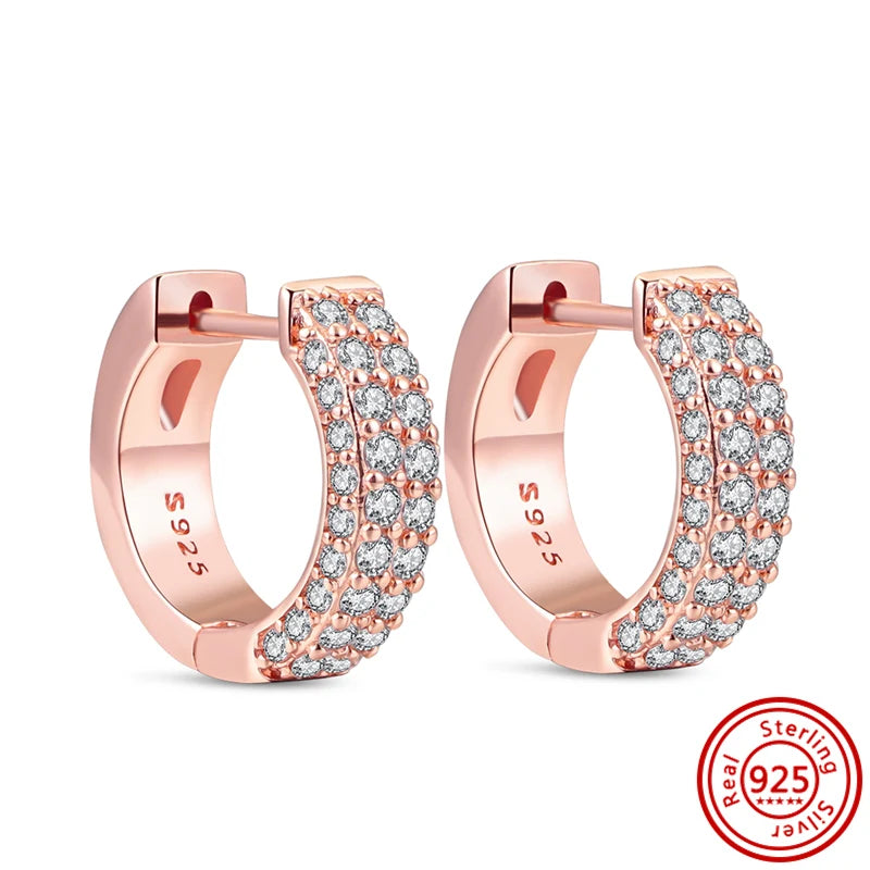 925 Silver Sparkling PAN Earrings Zircon Heart Flower Crown Clover Rose Love