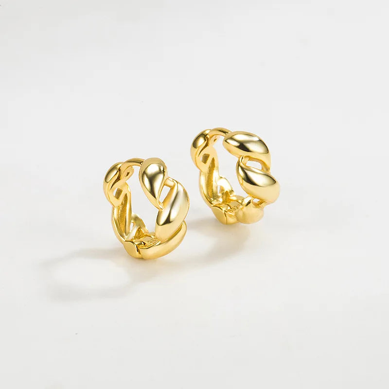 925 Silver Twist Hoop Earrings French Style Ins Light Personalized Earrings