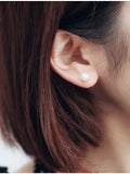 925 Silver Dandelion Stud Earrings 7mm Gift For Girls