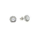 925 Silver Mini Stud Earring Beach Collection Sea Star Shell Pearl