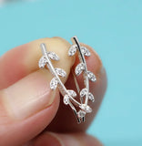 925 Silver Willow Leaf Stud Zircon Earrings
