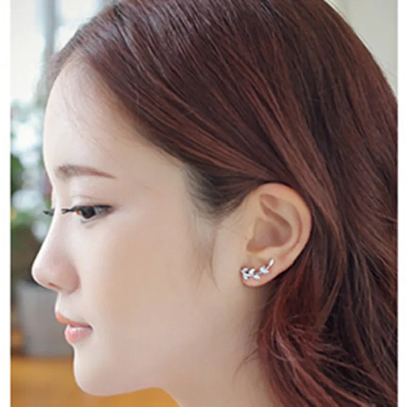 925 Silver Willow Leaf Stud Zircon Earrings