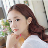 925 Silver Willow Leaf Stud Zircon Earrings