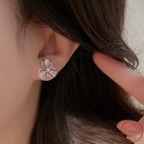 925 Silver Water Drop Zircon Earrings - Elegant Jewelry for Women