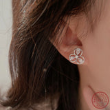 925 Silver Water Drop Zircon Earrings - Elegant Jewelry for Women