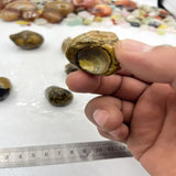 9Pcs Natural Crystal Stone Agate Eye Stone Decoration Set