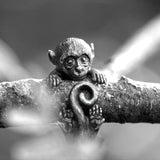 img_6457277