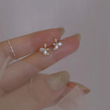 Women's Silver Plated Zircon Stud Earrings