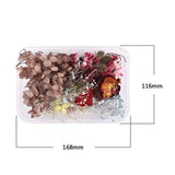 Aromatherapy Floating Flowers Dried Flowers Resin Jewelry Craft DIY
