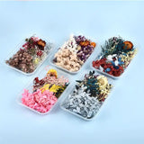 Aromatherapy Floating Flowers Dried Flowers Resin Jewelry Craft DIY