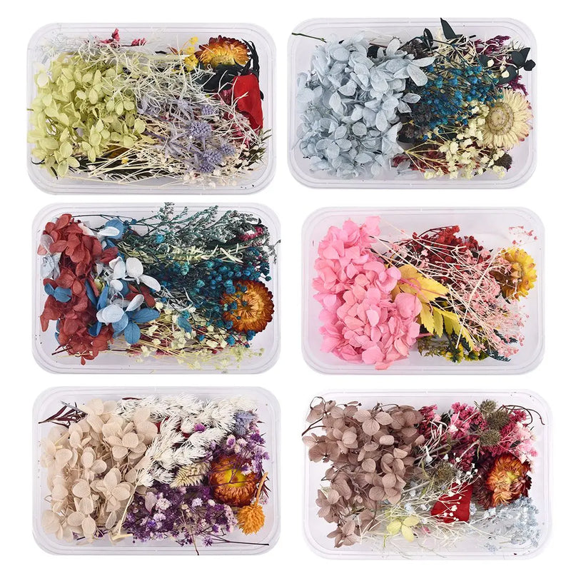 Aromatherapy Floating Flowers Dried Flowers Resin Jewelry Craft DIY