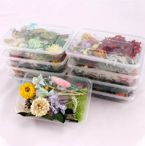 Aromatherapy Floating Flowers Dried Flowers Resin Jewelry Craft DIY
