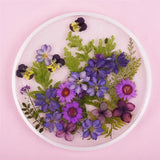 Aromatherapy Floating Flowers Dried Flowers Resin Jewelry Craft DIY