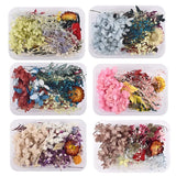 Aromatherapy Floating Flowers Dried Flowers Resin Jewelry Craft DIY