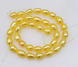 Champagne Freshwater Pearl Egg 14 Inch DIY Jewelry Making Beads
