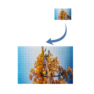 Customize Picture Puzzle 300 Pieces Jigsaw Puzzle