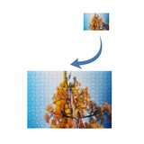 Customize Picture Puzzle 300 Pieces Jigsaw Puzzle