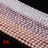 Freshwater Pearl Oval Beads 36 Cm DIY Jewelry Craft Accessory