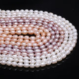 Freshwater Pearl Oval Beads 36 Cm DIY Jewelry Craft Accessory