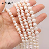 Freshwater Pearl Beads Round Shape 5-10mm for Jewelry Making