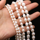 AA Freshwater Pearl Beads Rice Shape for Jewelry Making DIY Necklace Bracelet