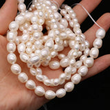 AA Freshwater Pearl Beads Rice Shape for Jewelry Making DIY Necklace Bracelet