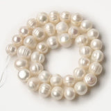 AA+ Freshwater Pearls Beads Round Cultured Pearls for Jewelry Making DIY