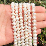 AA+ Freshwater Pearls Beads Round Cultured Pearls for Jewelry Making DIY