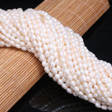 AA Rice Shape Pearl Natural Freshwater Pearl Beads Mixed 4-5mm