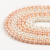 Pink Freshwater Pearls Beads Loose Oval Shape for DIY Necklace 15inch